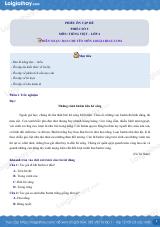 Đề ôn hè Tiếng Việt 4 lên 5 có lời giải chi tiết - Đề 9
